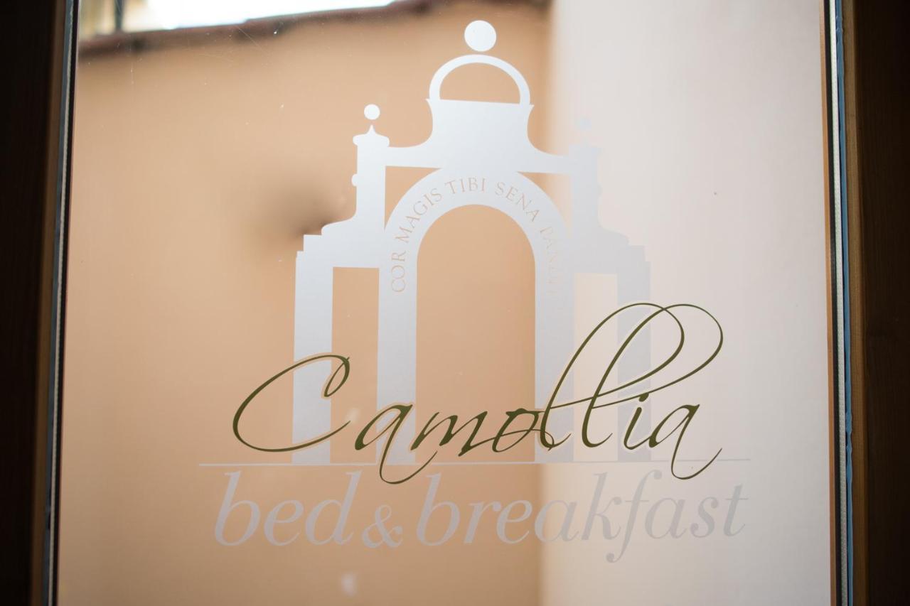 Bed and Breakfast Bed & Breakfast Camollia à Sienne Extérieur photo